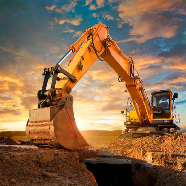 Orange digger posing gracefully ahead of a saturated sunset